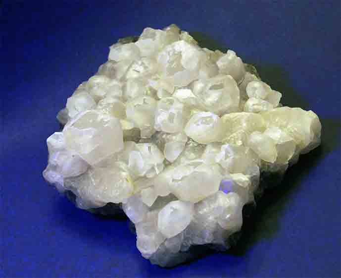 calciet wit